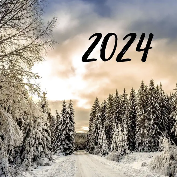 Snow Scene 2024