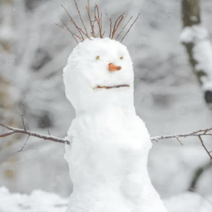 Crazy Snowman image